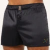 Carnival Satin Boxers