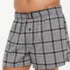 Remixed Plaid Boxers -Savage X Fenty REMIXED PLAID BOXERS UD2253606 5291 1 1200x1600 1